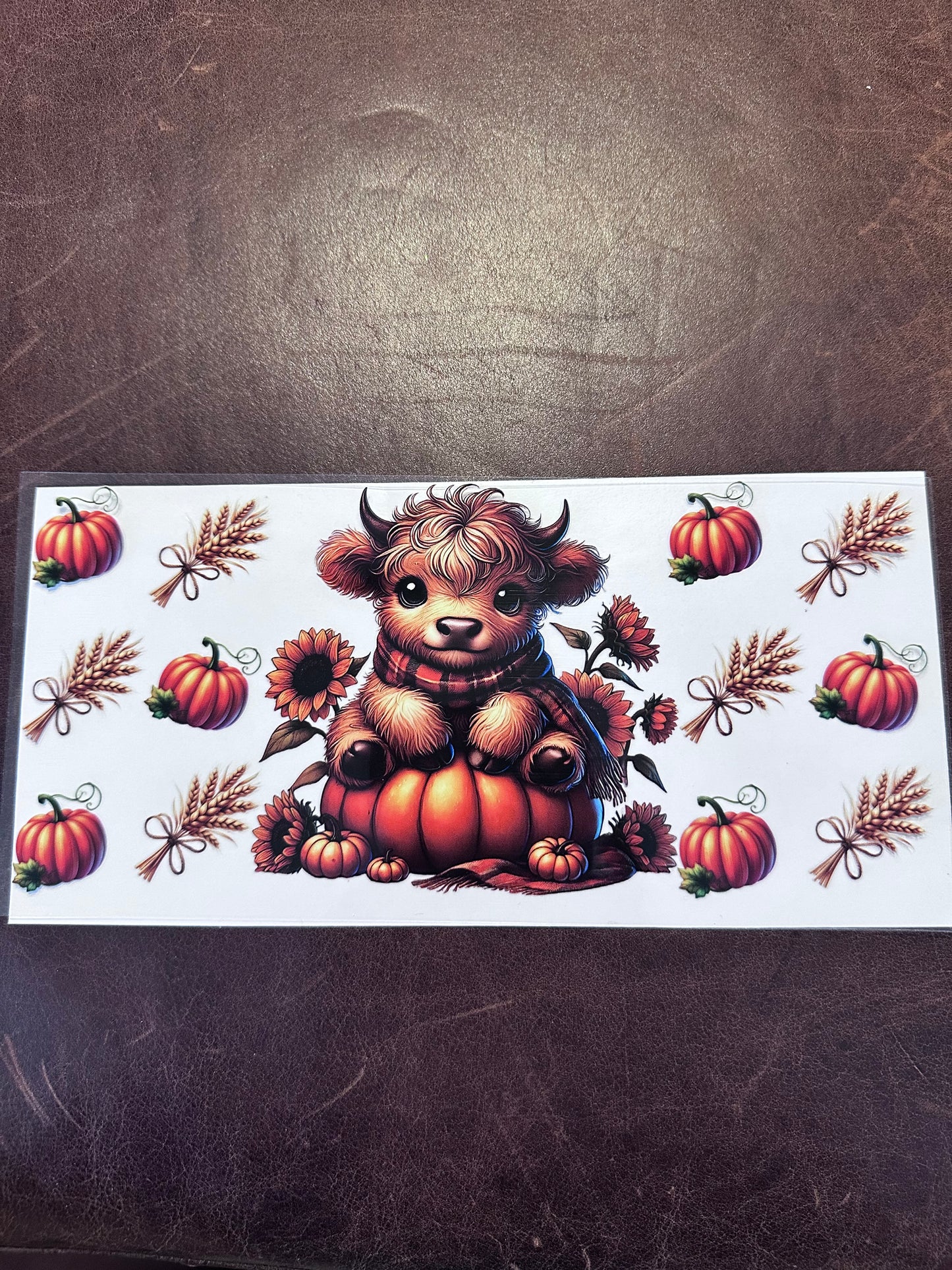 Fall Hyland & Pumpkin