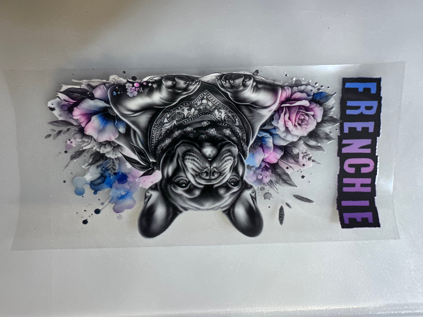 Frenchie Pink & Blue Splash