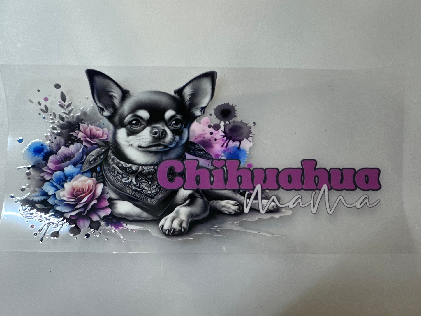 Chihuahua Pink & Blue Splash