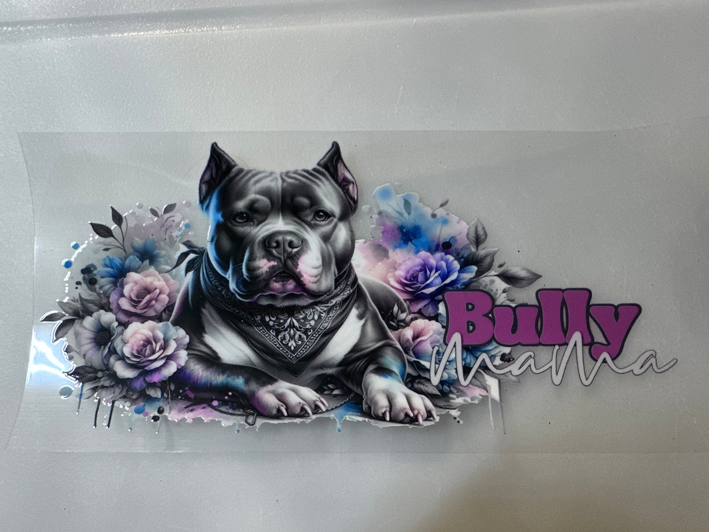 Bully Mama Pink & Blue Splash