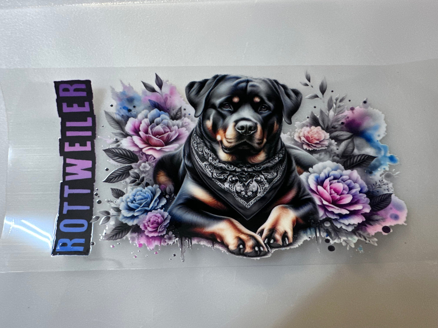 Rottweiler Pink & Blue Splash