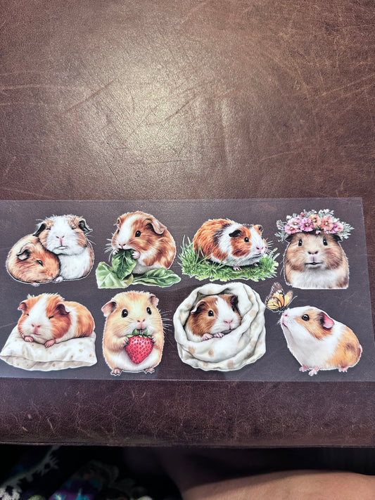 Cute Gerbils