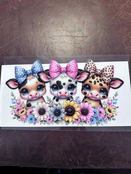 Trio Baby Cows
