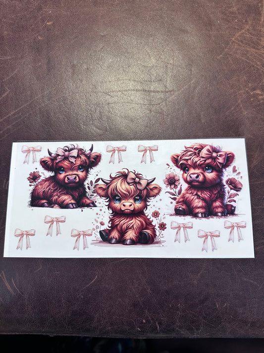 3 Baby Cows