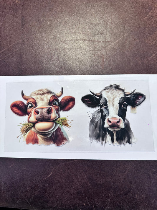 Bull Duo