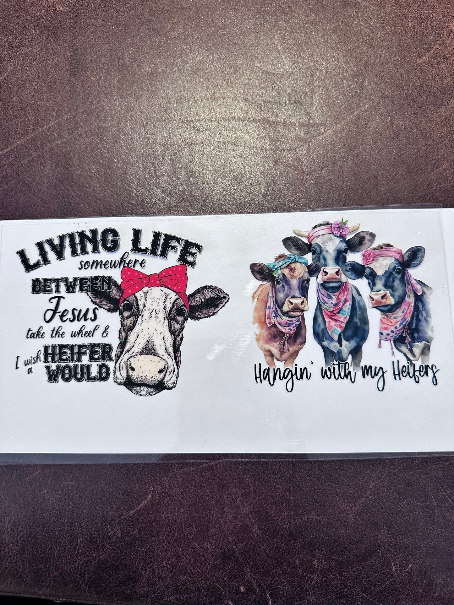 Living Life Heifer Duo