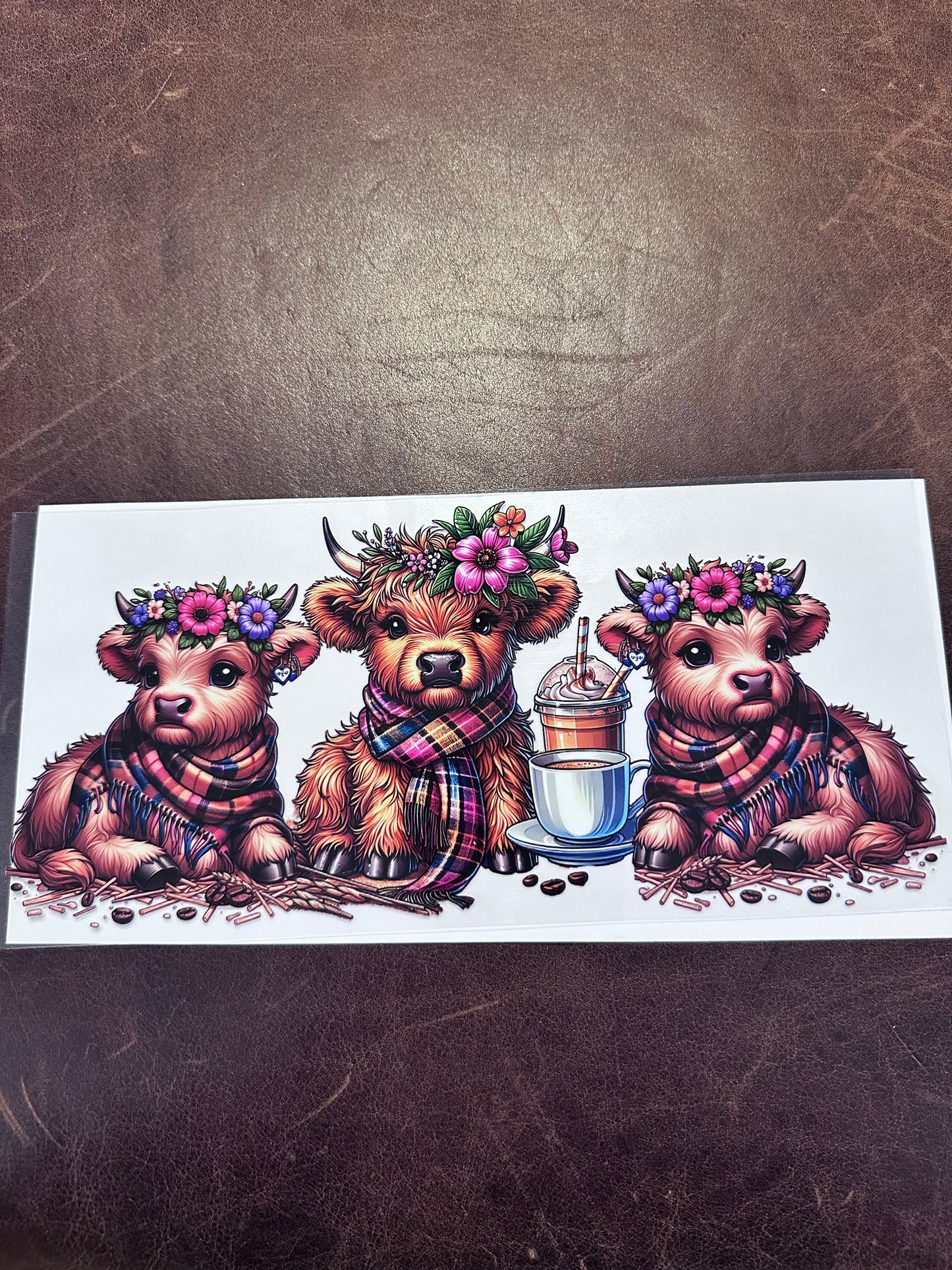 Cow Trio & Coffee