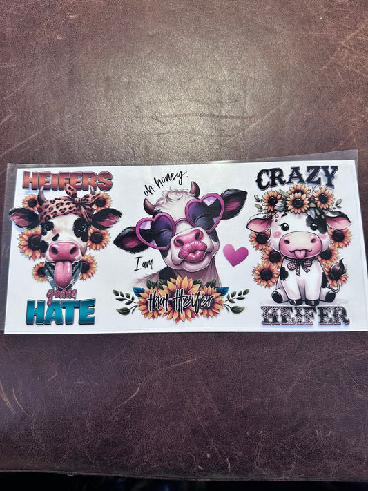 Crazy Heifers