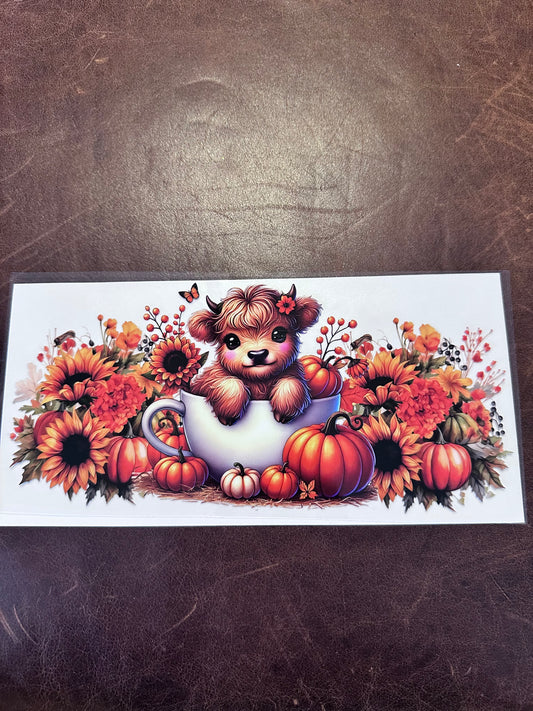 Fall Hyland in Cup