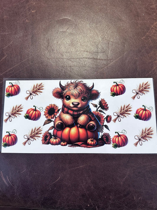 Fall Hyland & Pumpkin