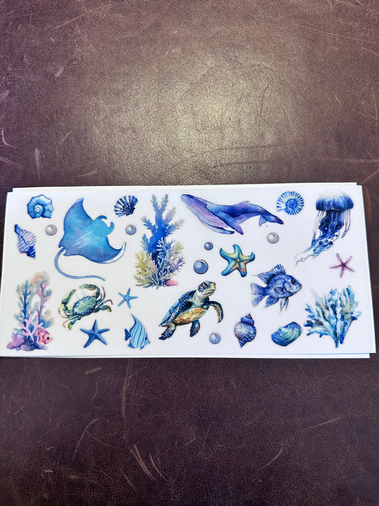 Sea LIfe Asst