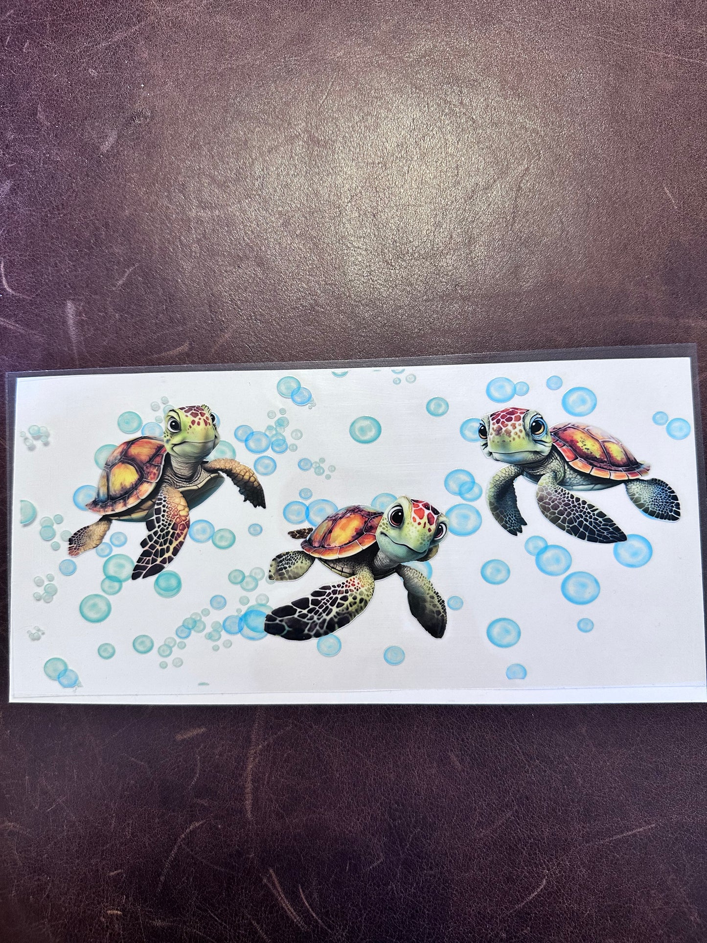 3 Turtles in Bubbles