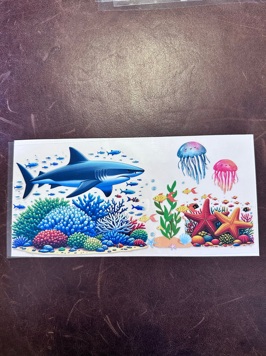 Shark & Jellyfish