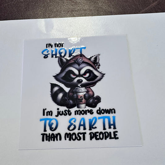 I'm Not Short Raccoon 3.5"