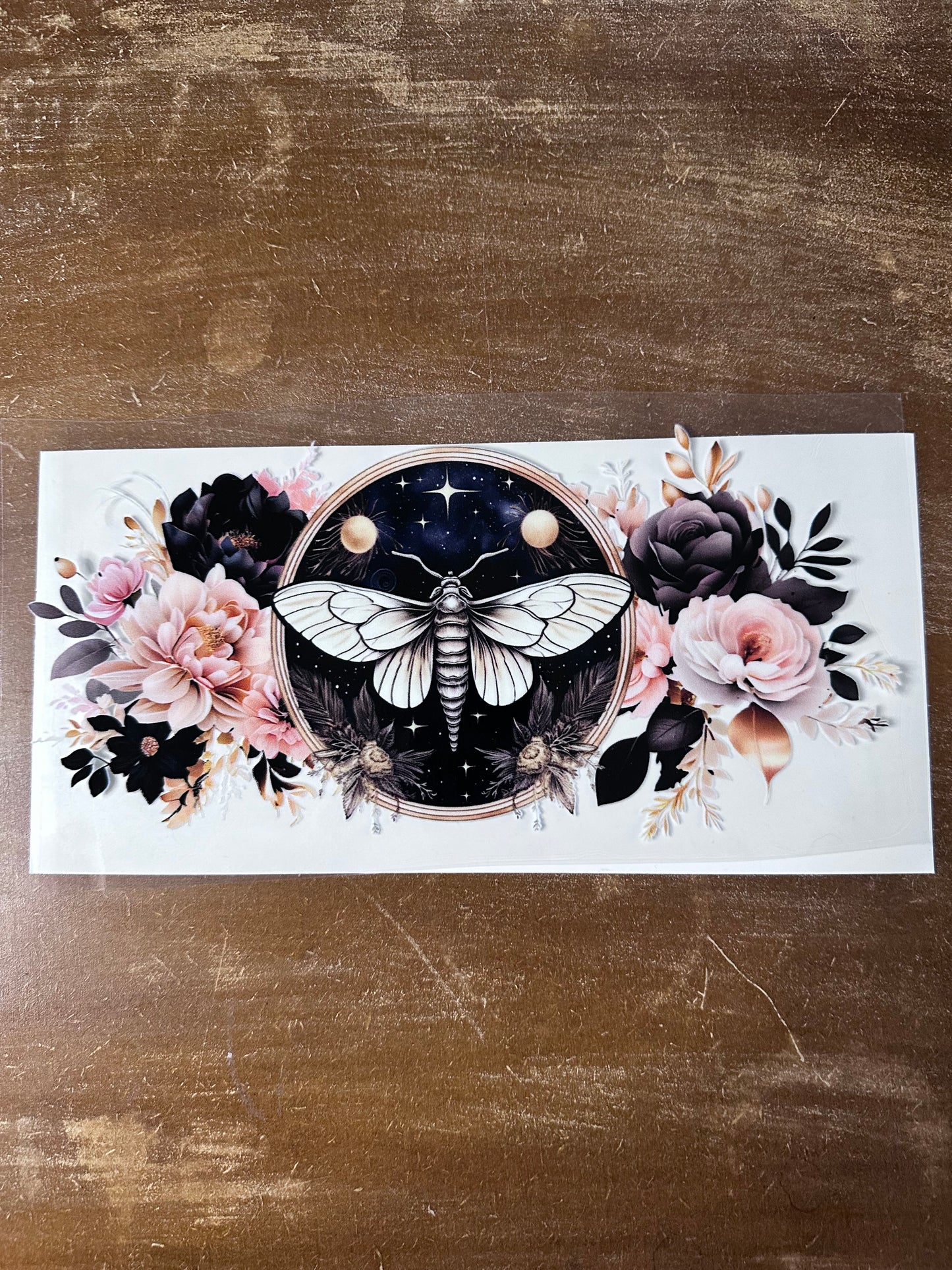 Peach & Blk Moth w/ Stars