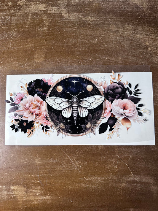 Peach & Blk Moth w/ Stars