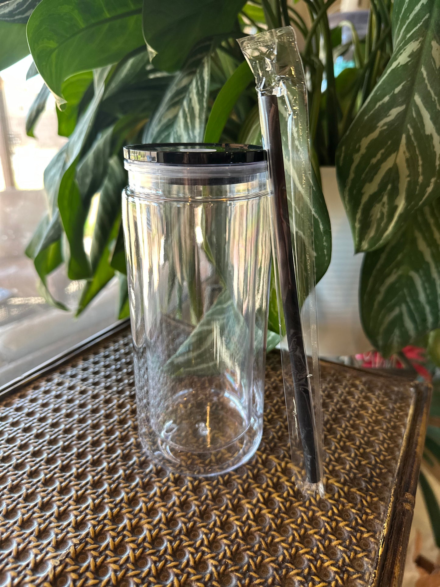 20oz Acrylic Snowglobe with colored lid and straw