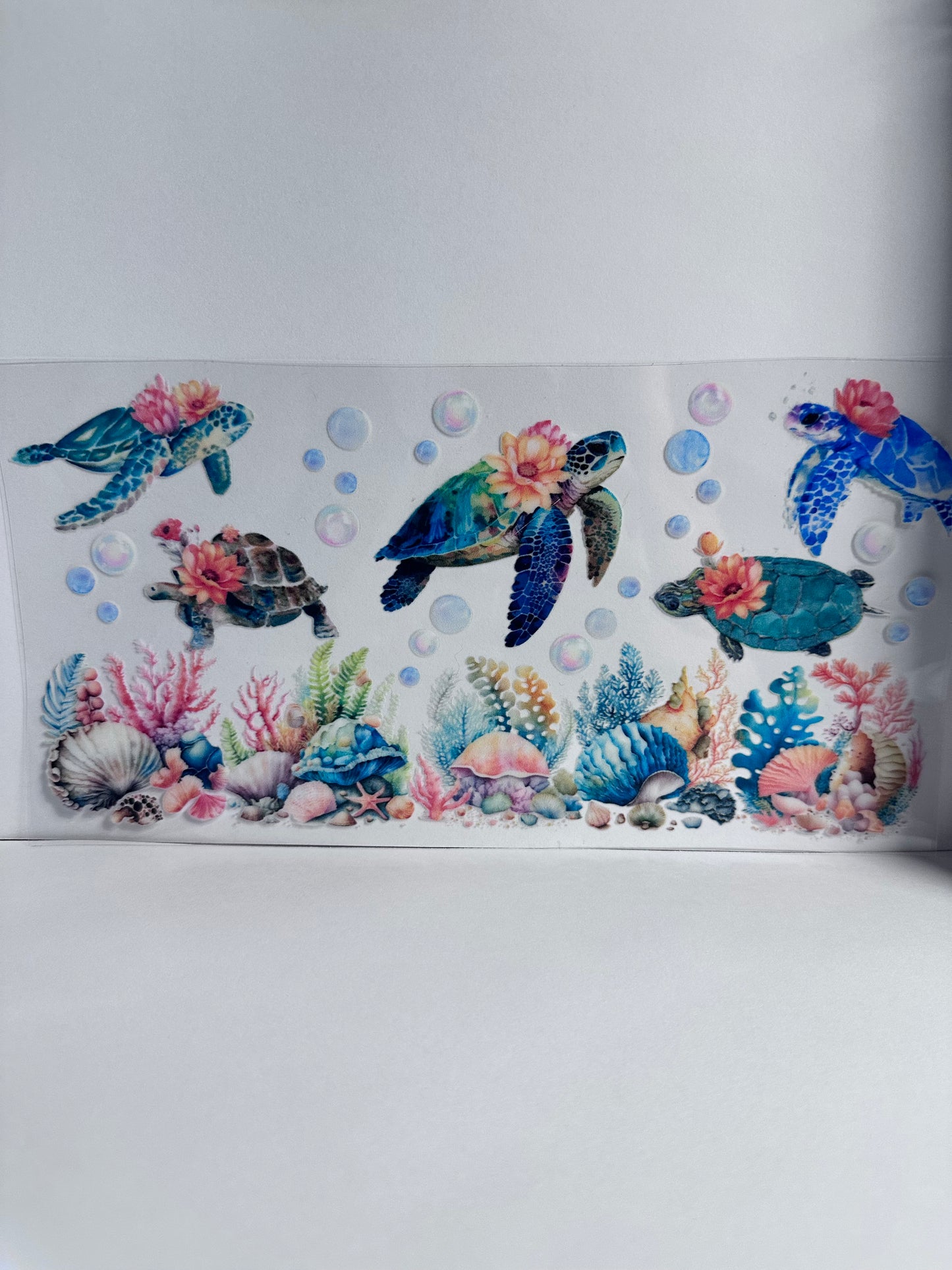 Sea Turtle and Corral