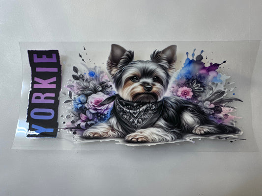 Yorkie Pink &  Blue Splash