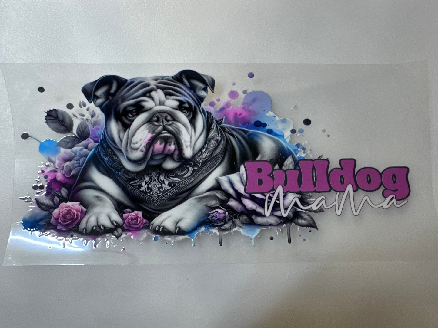 Bulldog Mama Pink & Blue Splash